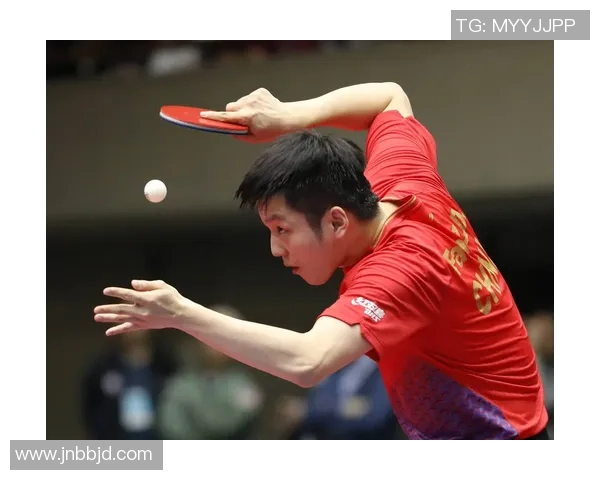 杭州乒乓球队耐力训练的秘密与挑战探索